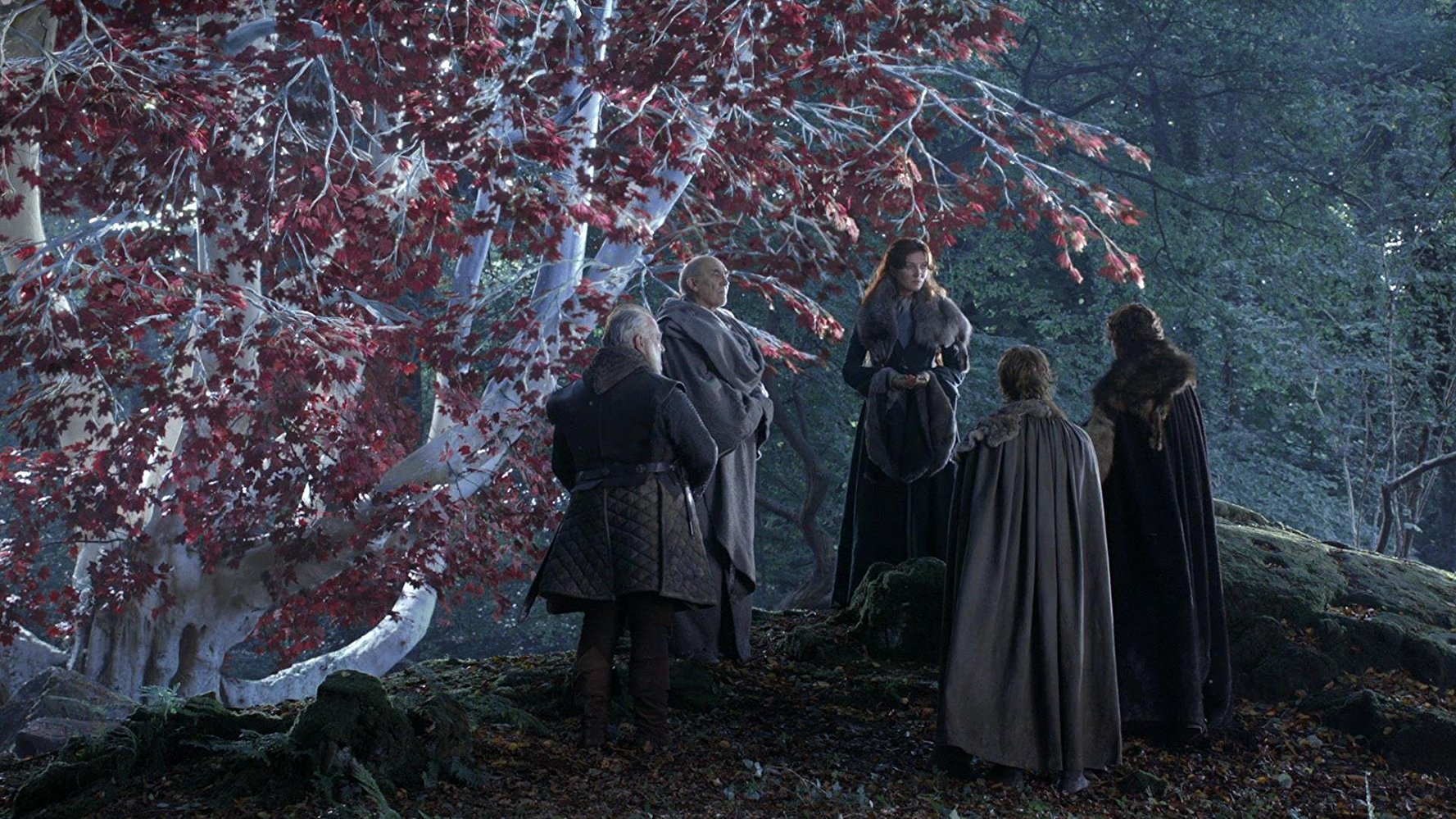 Maester Luwin