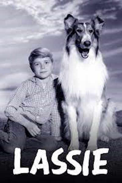 Lassie - Season 18