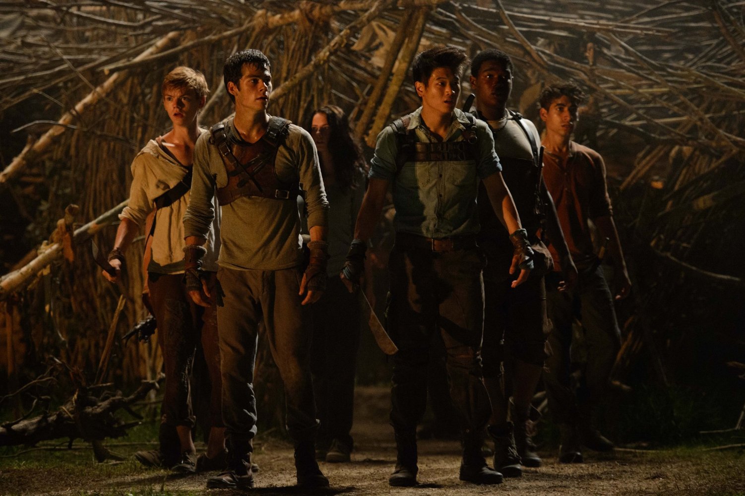Newt