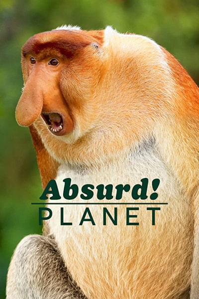 Absurd Planet - Season 1