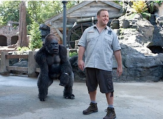 Bernie the Gorilla