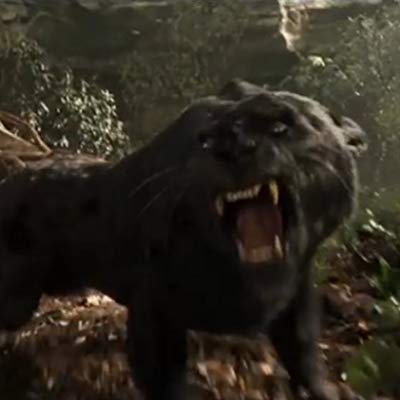 Bagheera
