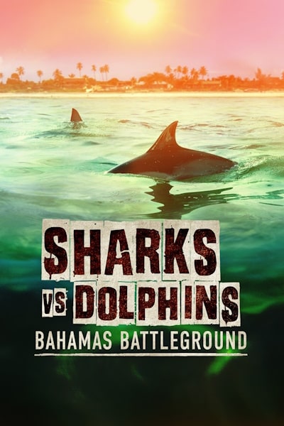 Sharks vs Dolphins Bahamas Battleground