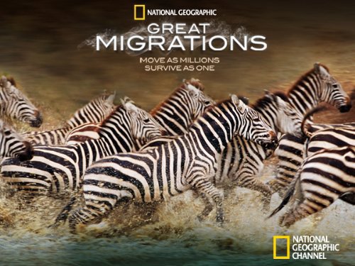 Great Migrations - Season 1