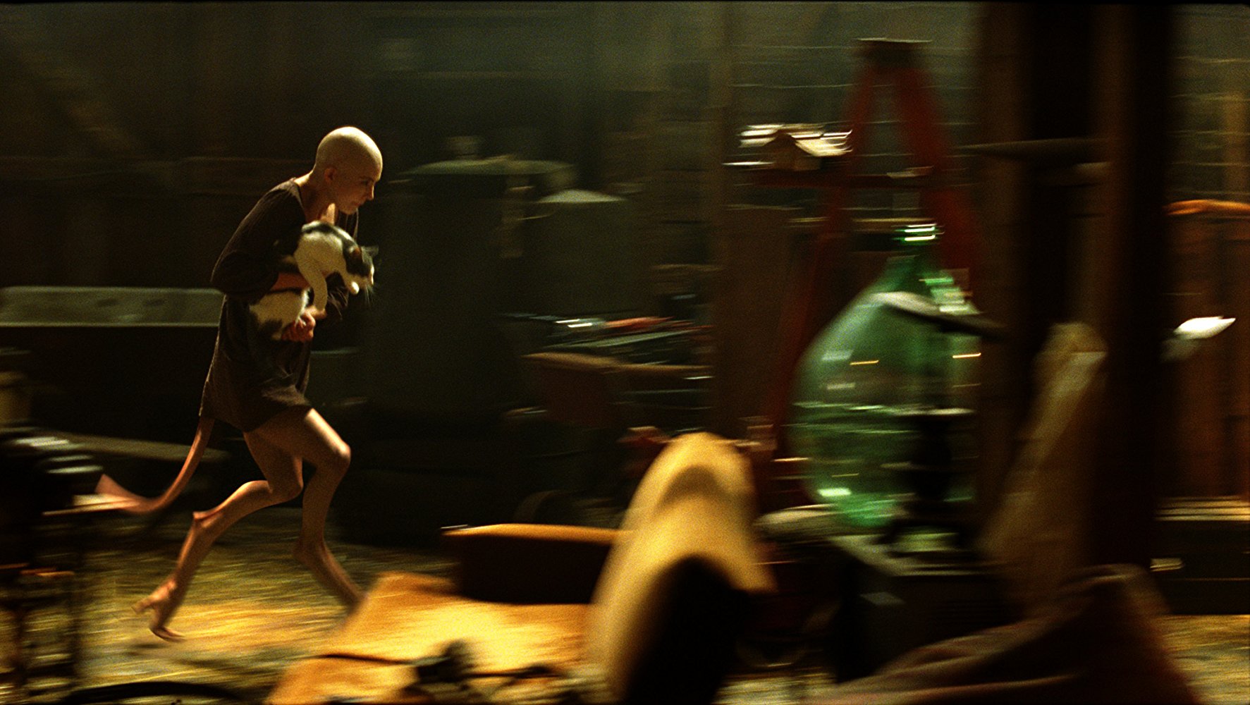 Dren