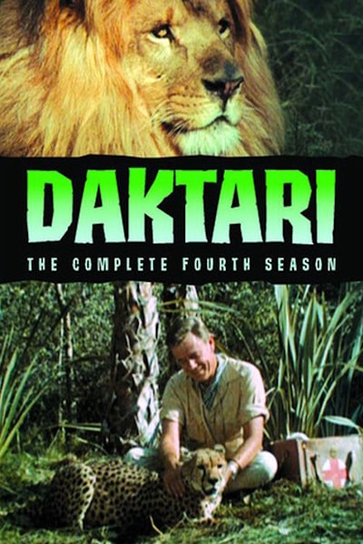 Daktari - Season 4