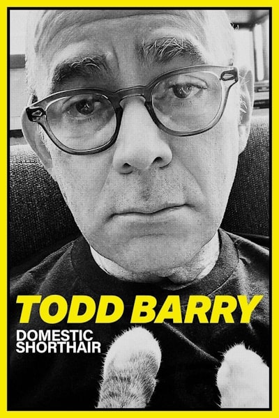 Todd Barry Domestic Shorthair