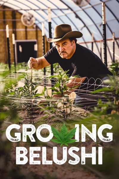 Growing Belushi - Season 1