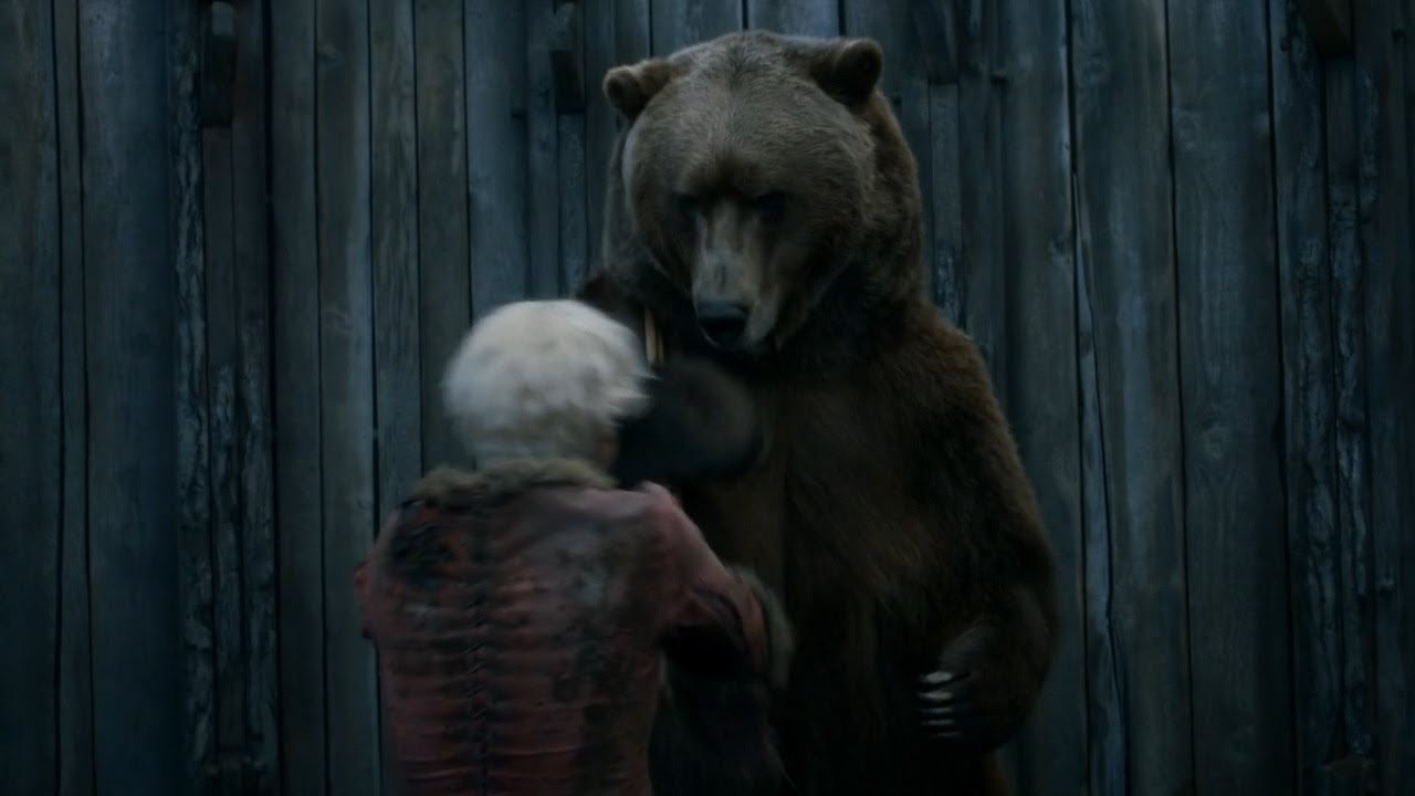 The Bear
