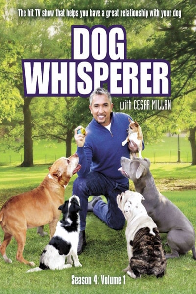 Dog Whisperer with Cesar Millan - Season 4