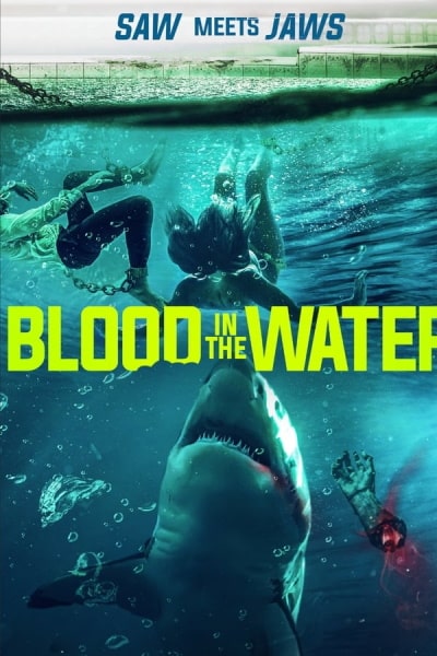 Blood in the Water (I)