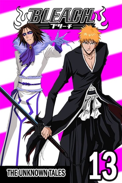 Bleach - Season 13