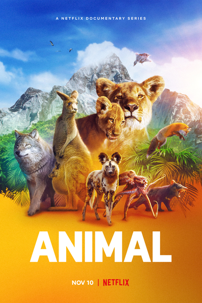 Animal - Season 1