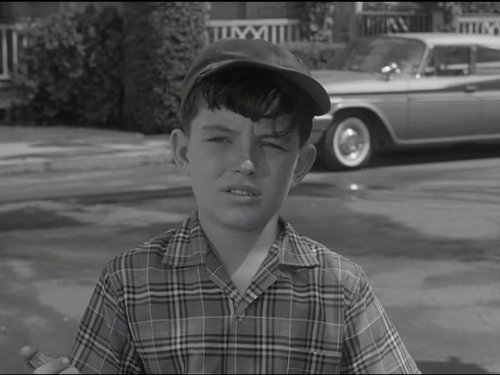 Theodore 'Beaver' Cleaver