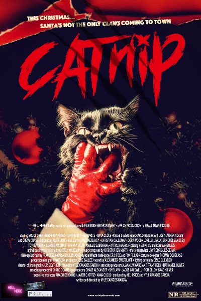 CATnip (2025)