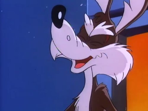 Wile E. Coyote