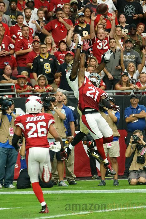 Patrick Peterson