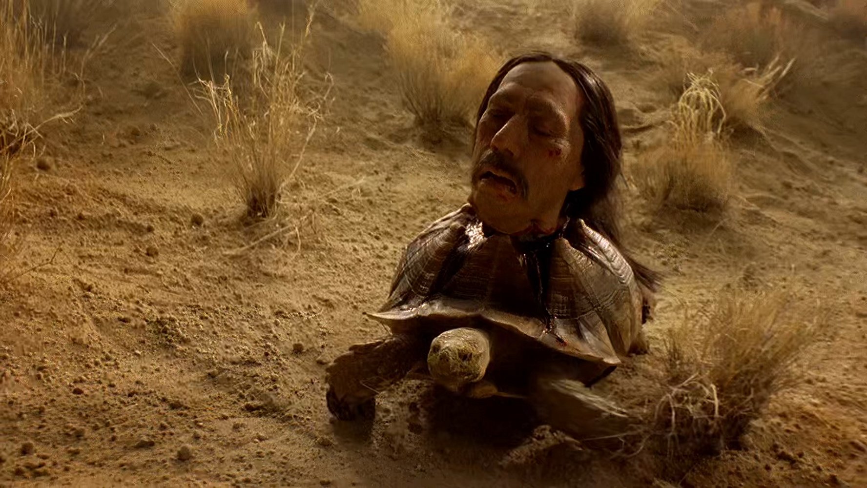 Tortuga