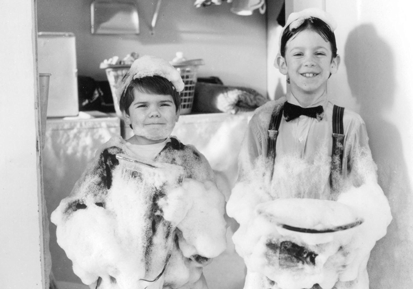 Alfalfa