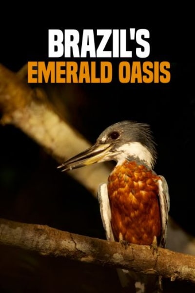 Brazils Emerald Oasis