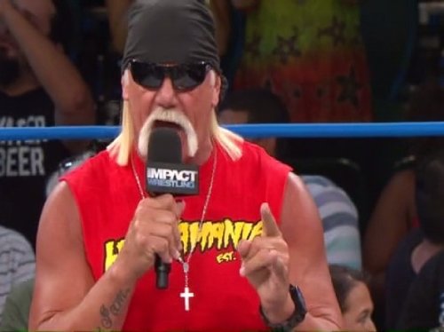 Hulk Hogan
