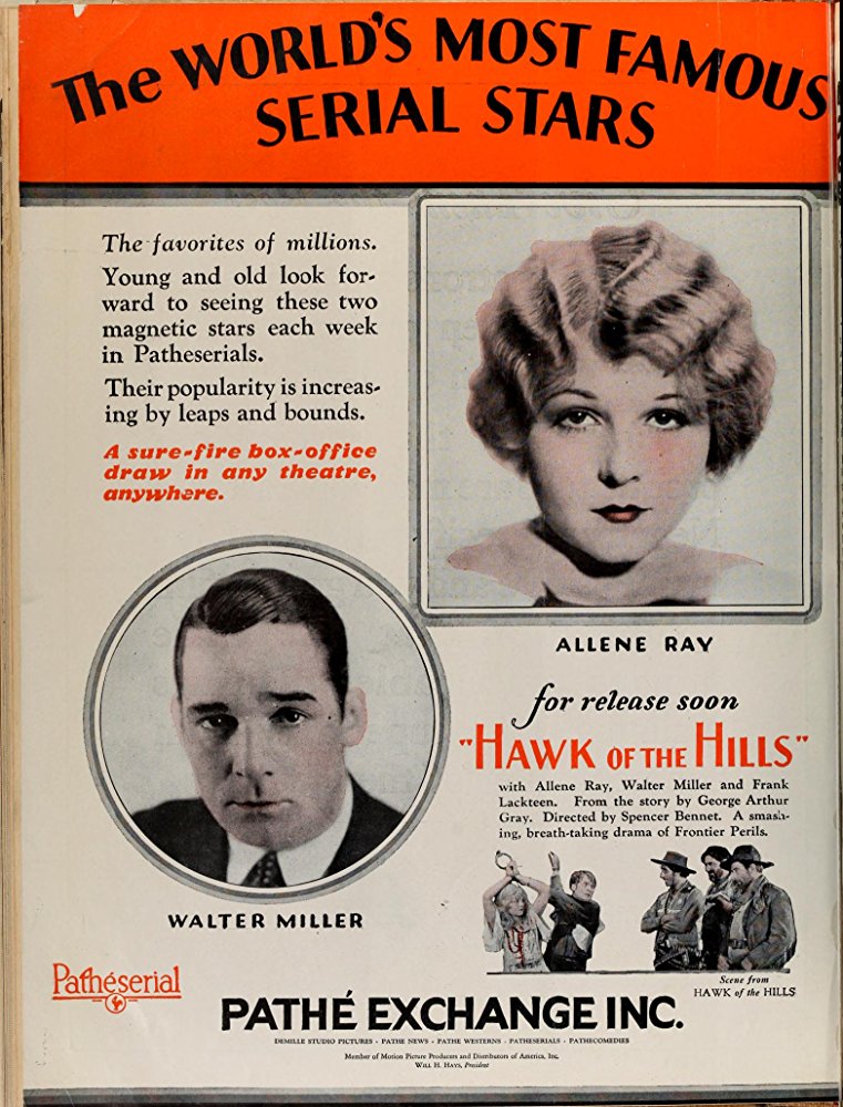 The Hawk