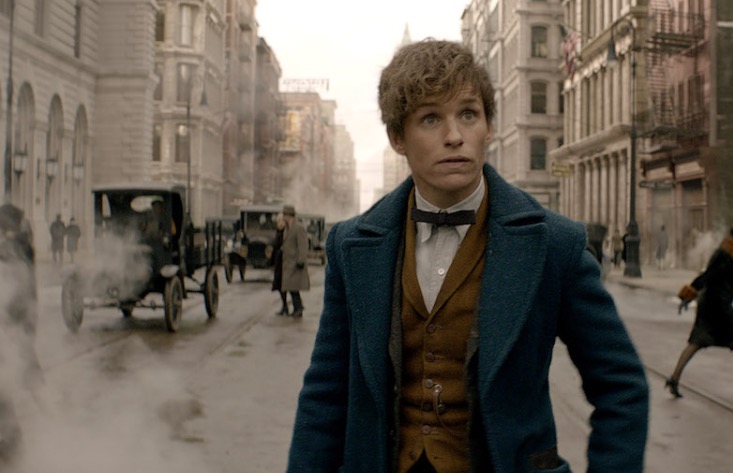 Newt Scamander