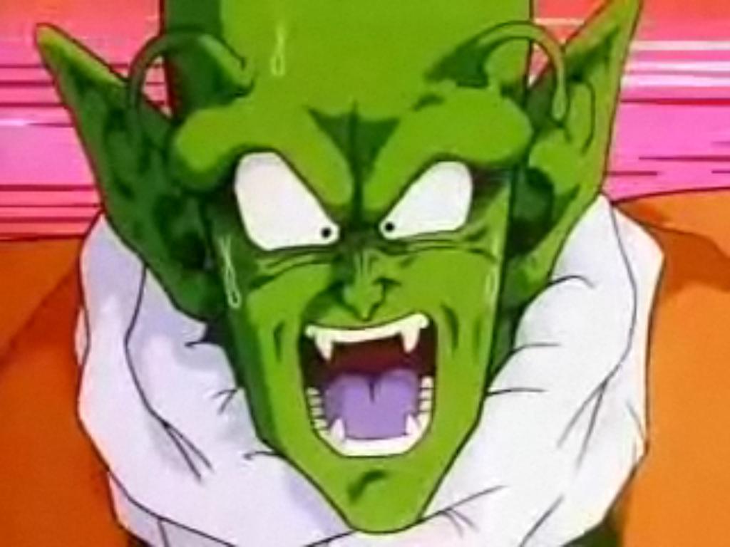 Namekian Warrior
