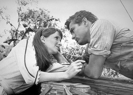 Julie Harris