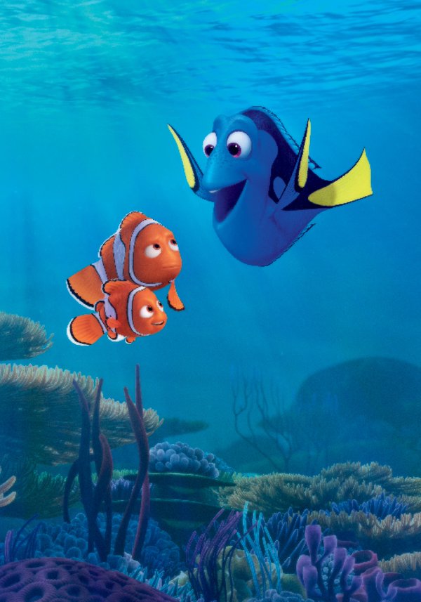 Dory