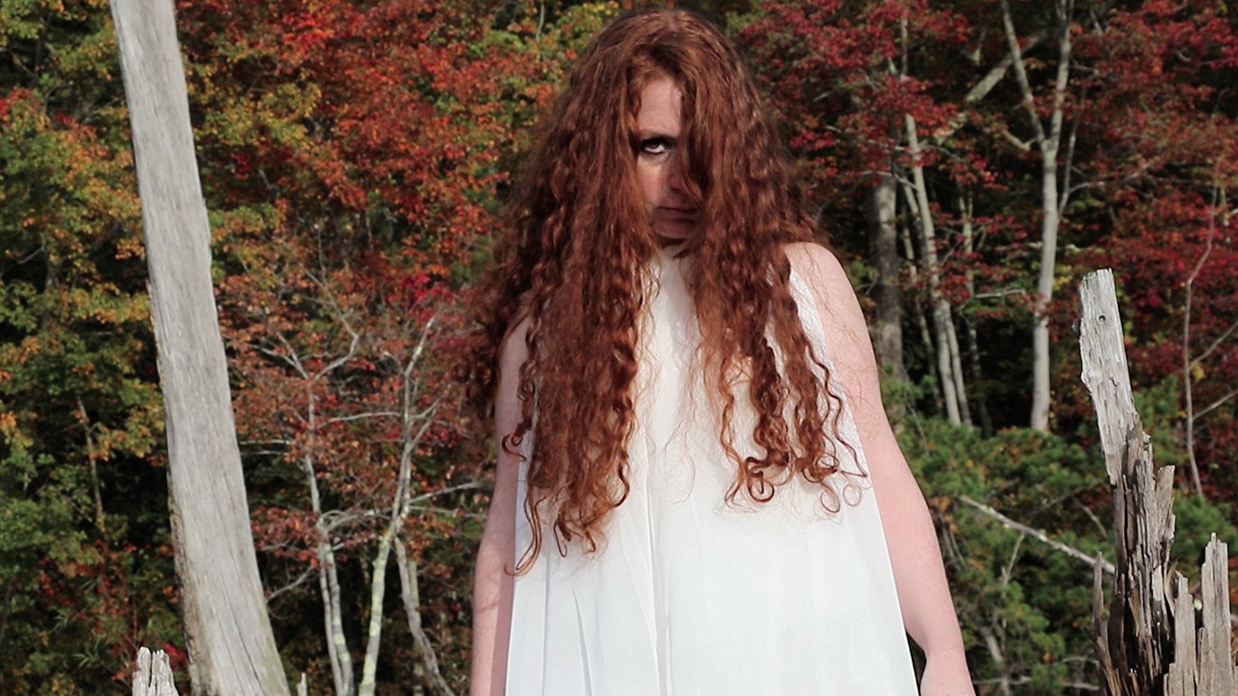 The Girl in the Cornfield