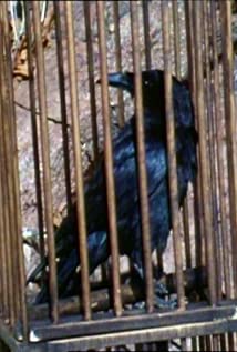Edgar