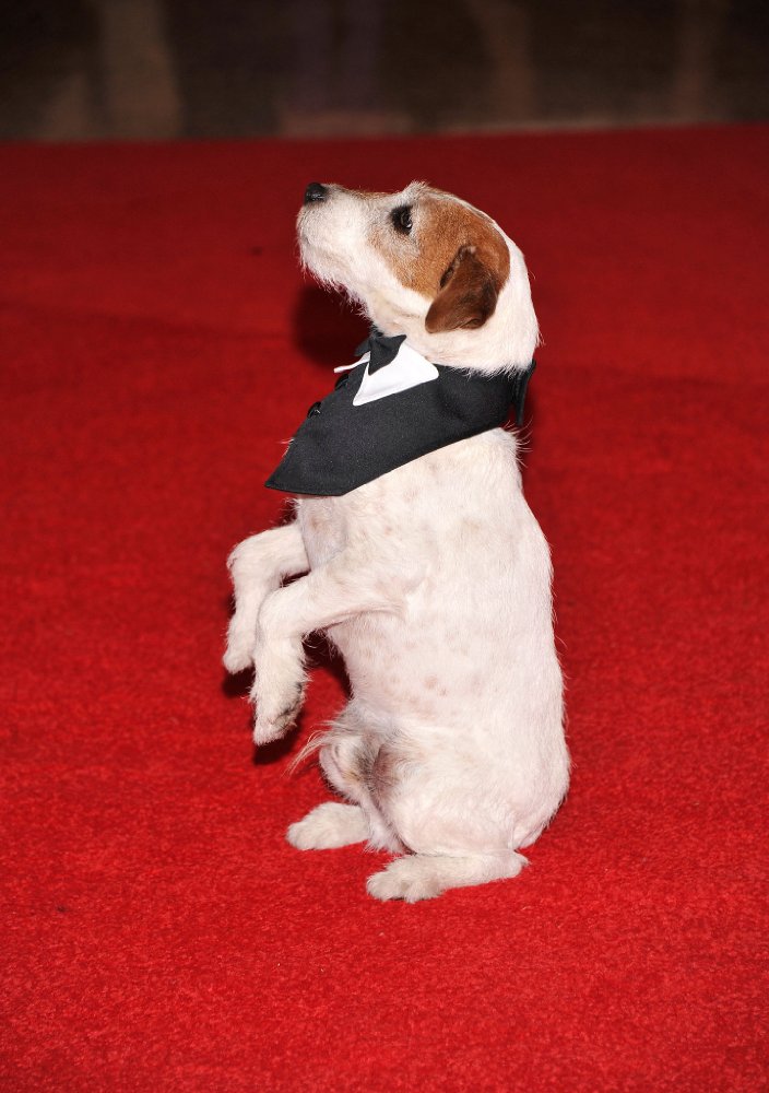 Uggie