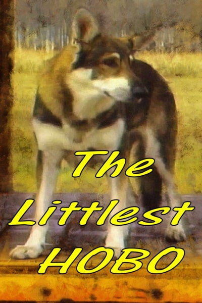 The Littlest Hobo - Season 5
