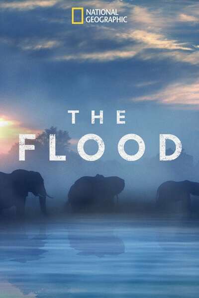 The Flood - Season 1