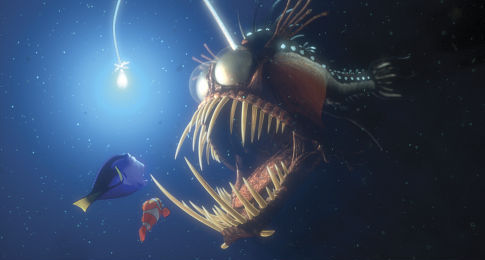 Marlin