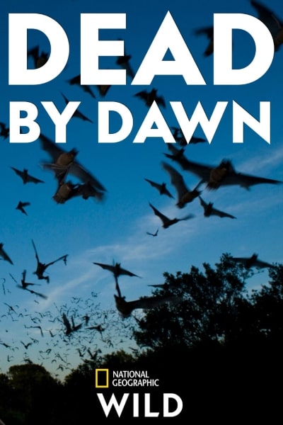 Dead by Dawn - Season 1