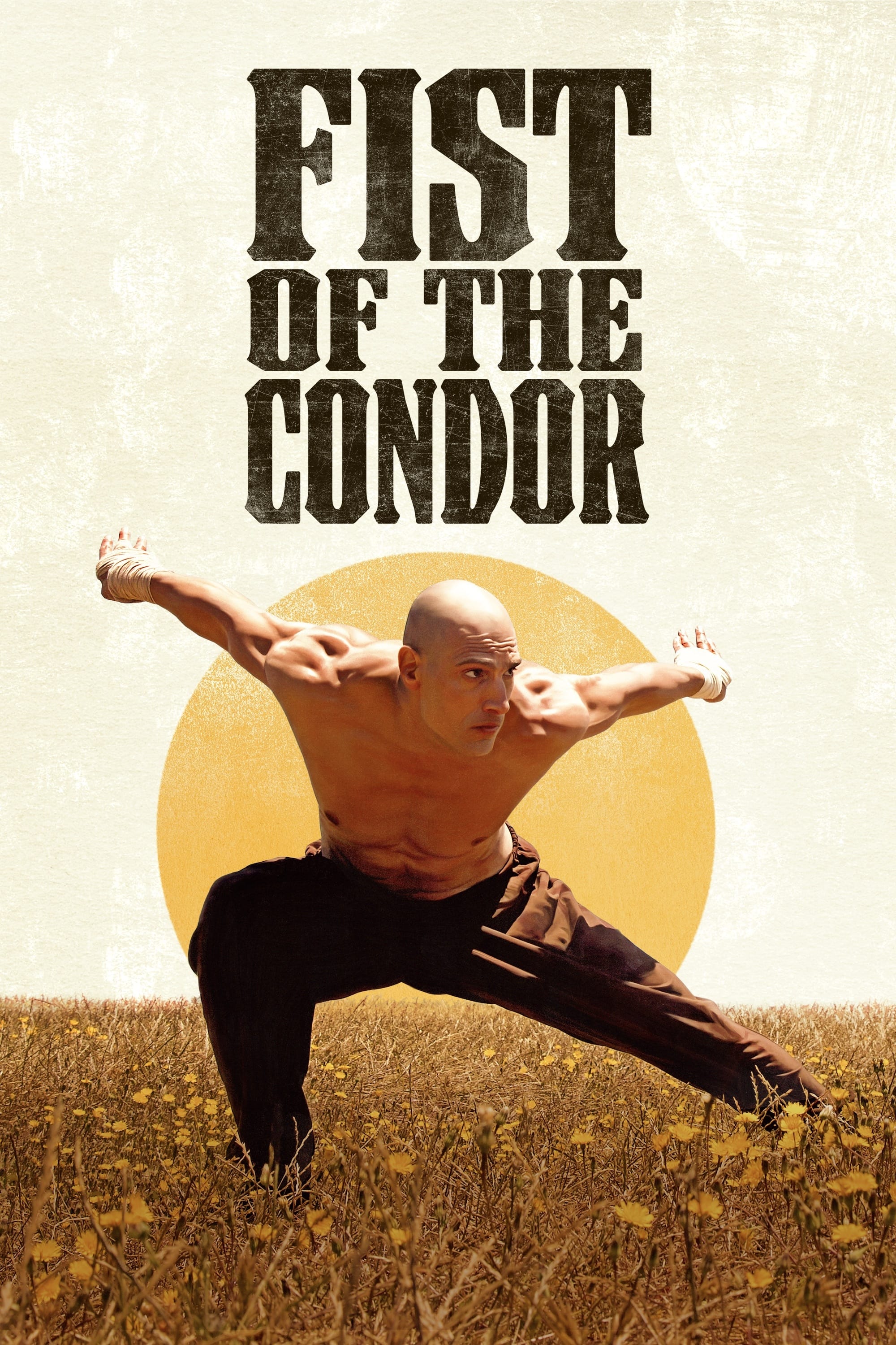 The Fist of the Condor (El Pu&ntilde;o del C&oacute;ndor)