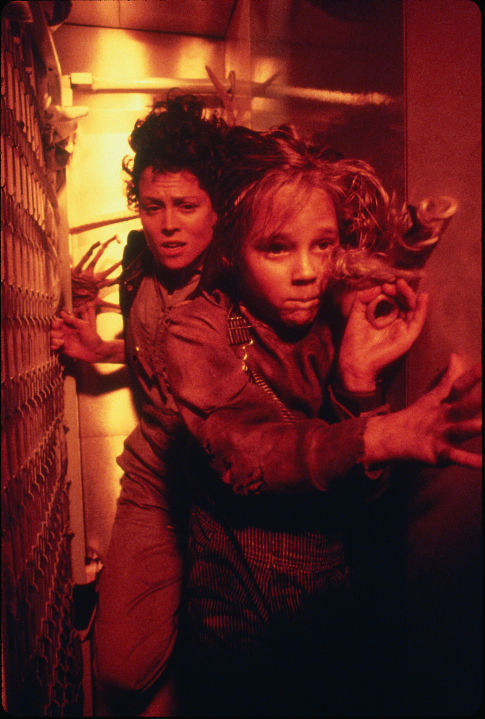 Rebecca 'Newt' Jorden