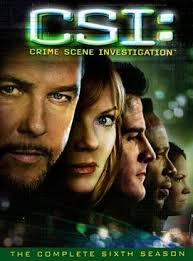 CSI - Season 6