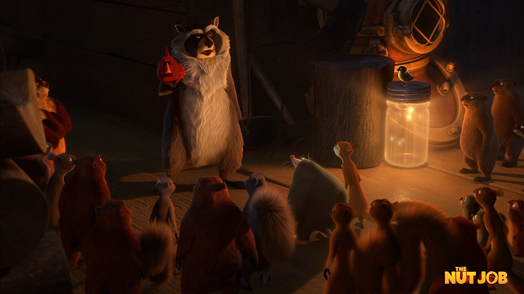 Raccoon