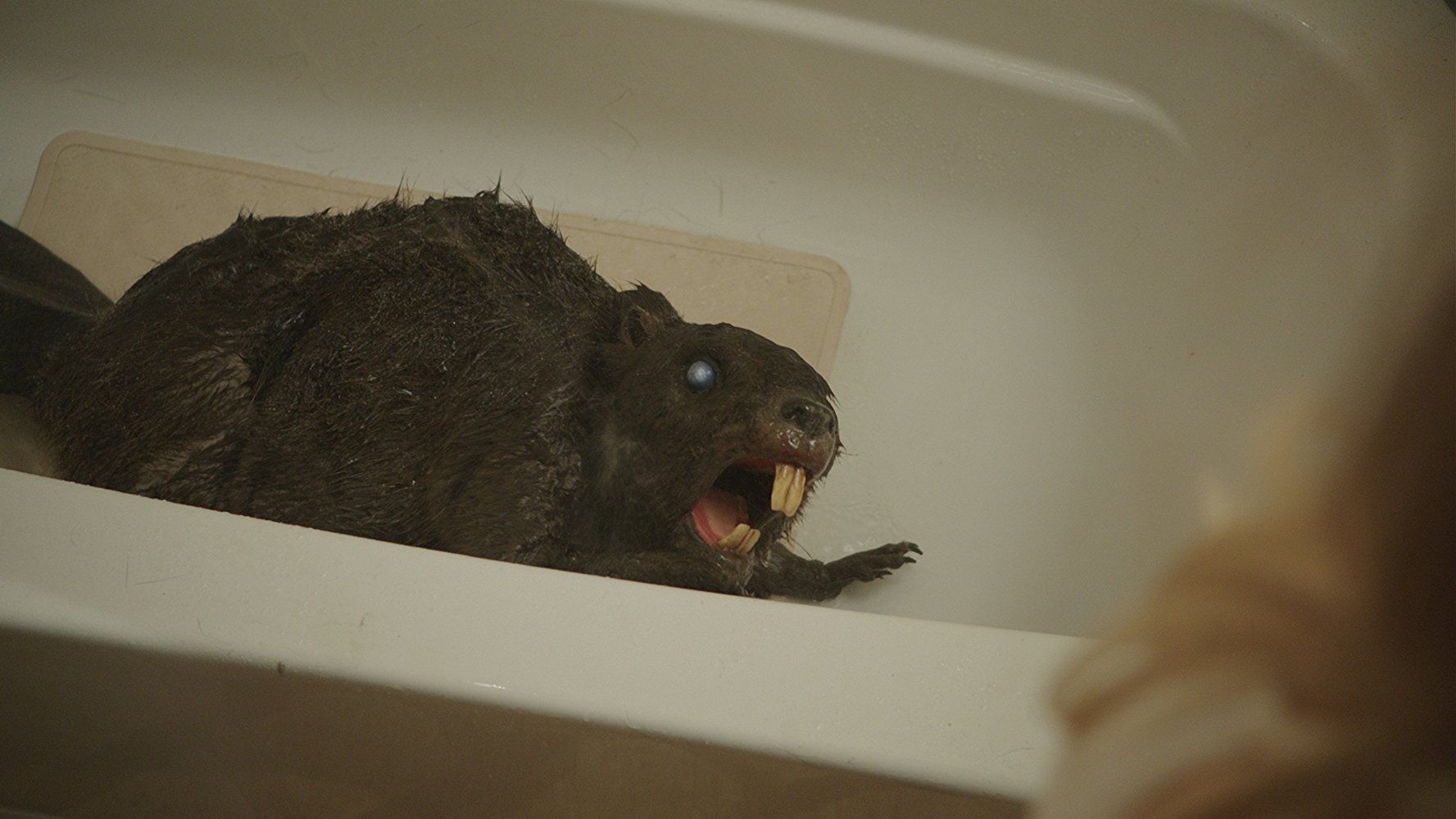 Zombeaver Sounds