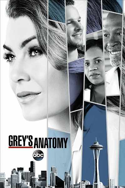 Greys Anatomy&nbsp;- Season 14