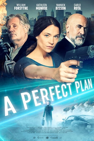 A Perfect Plan