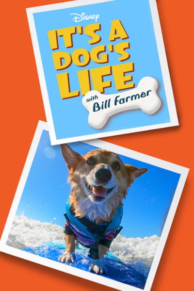 It's A Dog's Life - Season 1