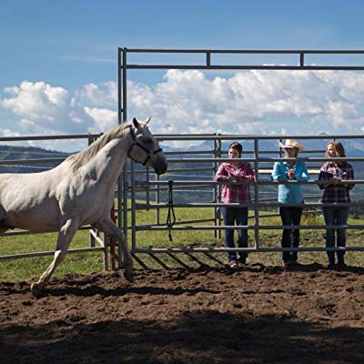 Horse owner