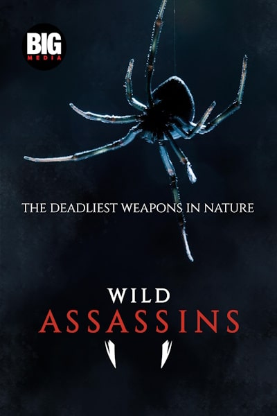 Wild Assassins - Season 1