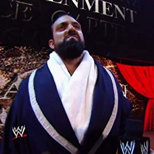 Damien Sandow, Damien Mizdow, Idol Stevens, Macho Mandow