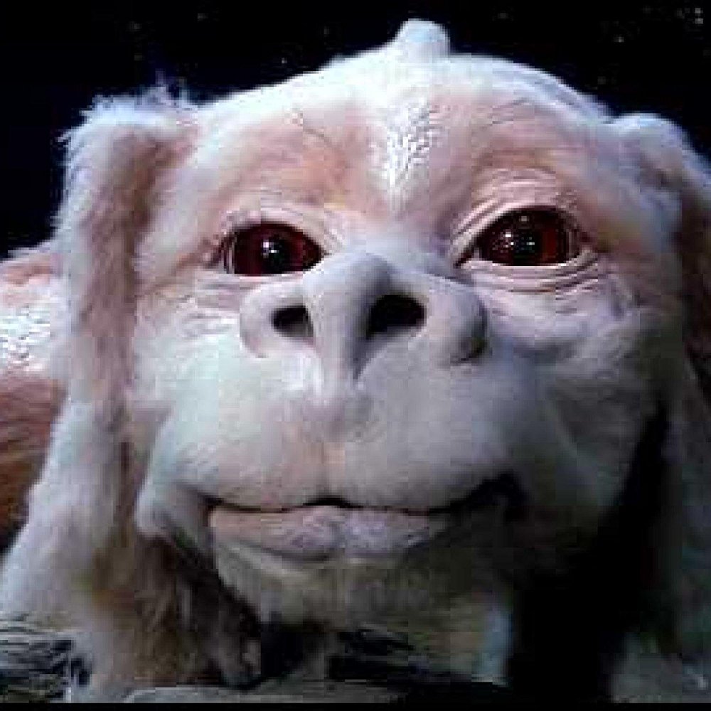 Falkor the Luck Dragon
