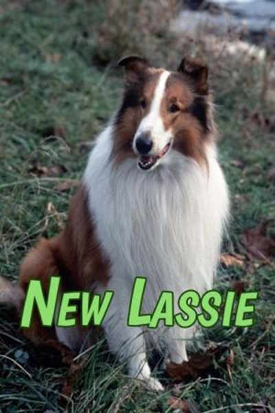Lassie - Season 19